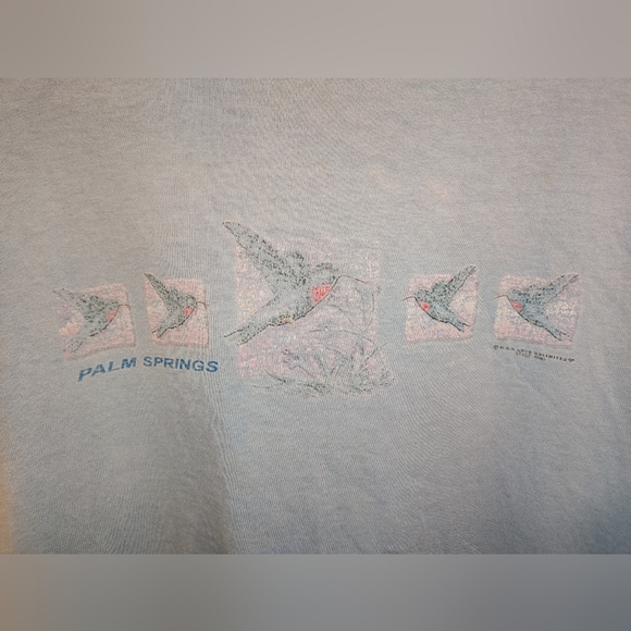 Vintage Gorpcore Shirt Large XL Palm Springs Hummingbirds Nature Distressed Bird - Picture 2 of 12